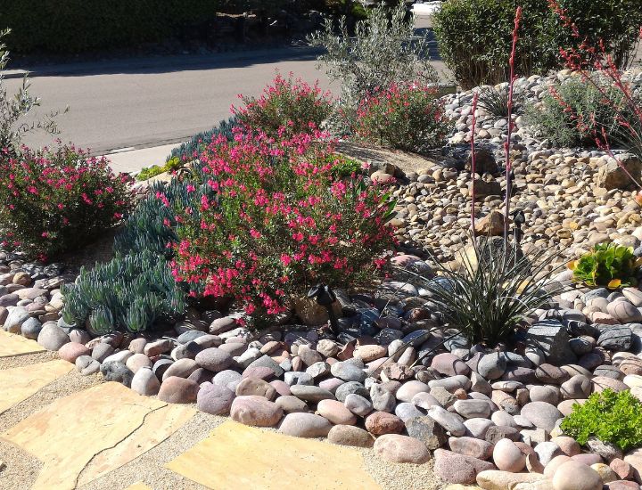 Xeriscaping in Queen Creek, AZ: Sustainable Landscaping Solutions for a Desert Oasis